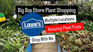 Big Box Store Plant Shopping Lowe