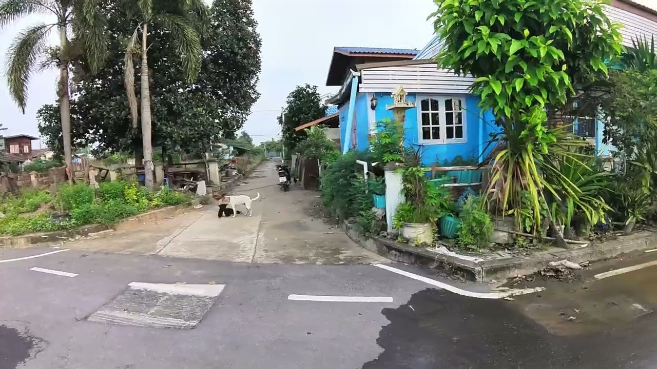 タイスコータイ2024年9月洪水