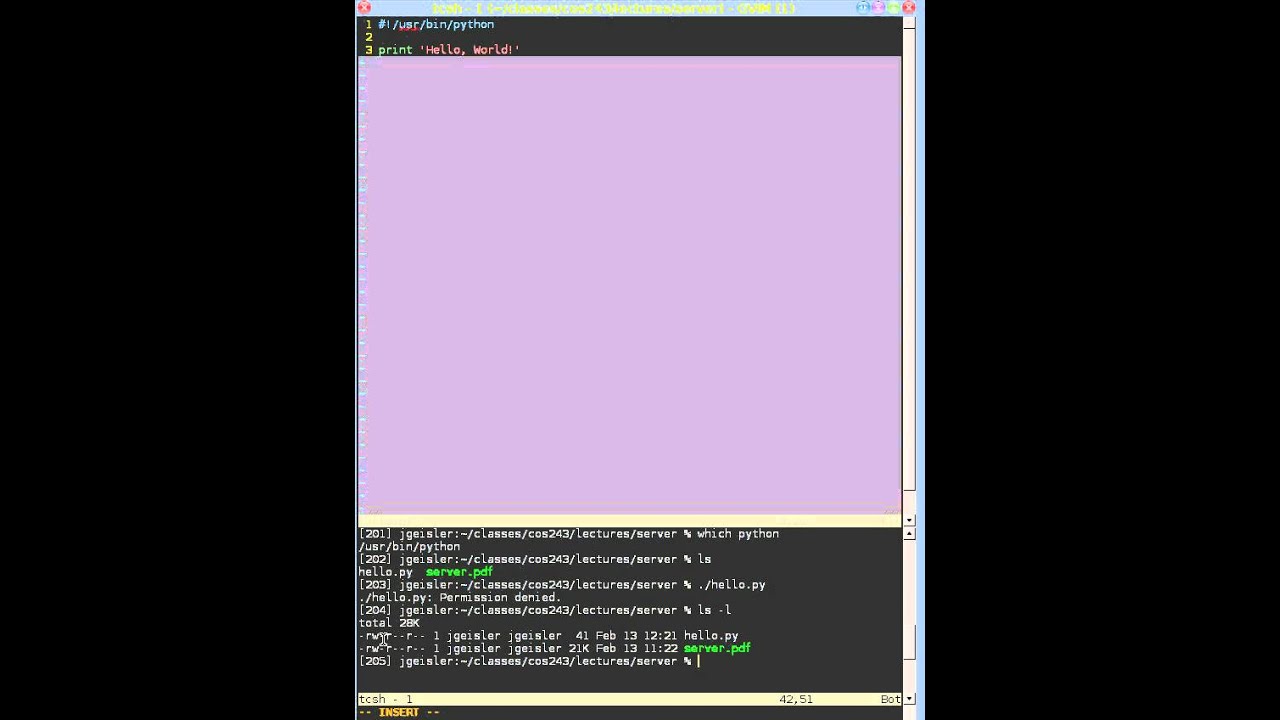 Running python from the command line - YouTube