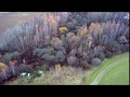 Полёт над лесом и болотом на Mavic Pro