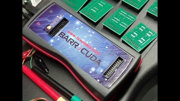 Barracuda Programador