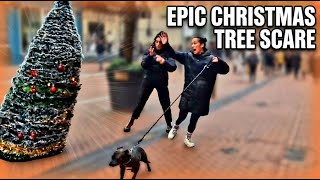 Christmas Tree Prank 2025!  Loudest Screams and Laugh ! Bushman Prank