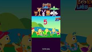 Five Little Ducks Went Out One Day 🐥 | Short Nursery Rhyme by Looky Luke