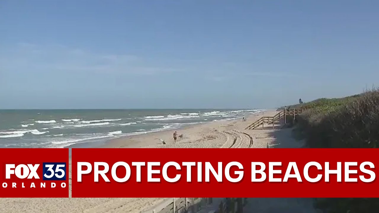 Brevard County officials striving to preserve its southern beaches