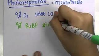 ormBio 108 : พืช version2 ,ตอน08