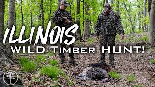 Turkey Hunting- Illinois TIMBER Hunt!