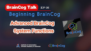 BrainCog 5. Advanced BrainCog System Functions
