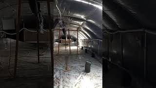 Pinon Hills Insulaatedd greenhouse
