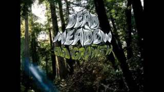 Video thumbnail of "Dead Meadow - Seven Seers"