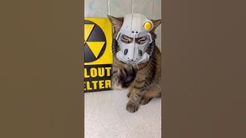 Equipping Catmeat with Power Armor!