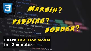 What is Margin, Padding, and Border in CSS How do they work | CSS Box Model Fundamental