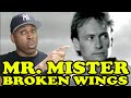 Mr Mister Broken Wings | REACTION