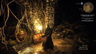 The Witcher 3: Wild Hunt - Part 181 -- Mastercrafted Legendary Wolven Gauntlets Location