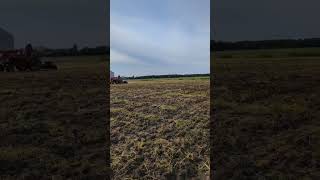 Plowing the future pumpkin patch! #oldschoolfarming