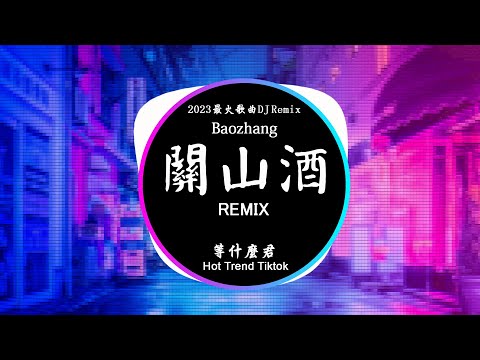 等什麼君 關山酒 女聲版 DJ抖音 Remix 動態歌詞 Pinyin Lyrics 我自關山點酒 千秋皆入喉