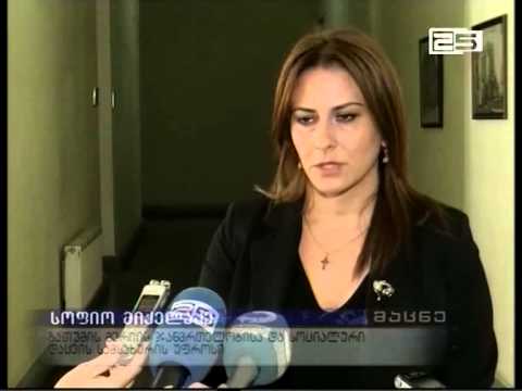 ბათუმის საკრებულოში „თვითნებურად დაკავებული მიწის ნაკვეთების აღიარების“ მუდმივმოქმედი