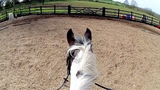 Very Basic Flatwork | Helmet Cam