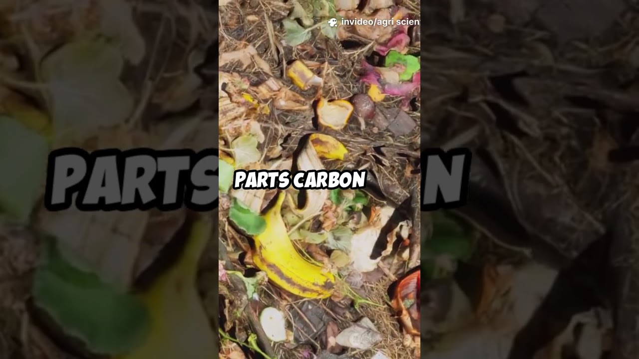 Impact of CN Ratio and Temp on Anti-Resistant E. coli During Anaerobic Digestion of Chicken Manure