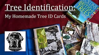 Tree Identification | Tree ID Cards | Bushcraft Tree ID | Common UK Trees | Bushcraft