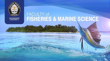 Profile Video | Faculty of Fisheries and Marine Science, Diponegoro University | Full Version