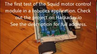 The Squid Motor Control Module