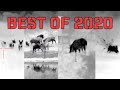 Best of 2020 - Thermal hog hunting in Texas