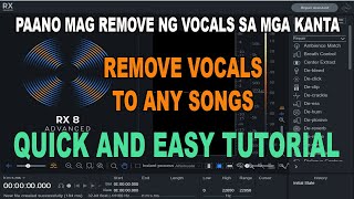 REMOVE VOCALS TO ANY SONG screenshot 4