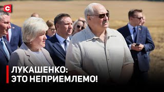 видео: Лукашенко: Не дай Бог вы меня разозлите – мало не покажется! | Президент про падёж скота и уборочную картинка: Лукашенко: Не дай Бог вы меня разозлите – мало не покажется! | Президент про падёж скота и уборочную