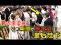 皇后陛下が“歩みを止めた理由”…春の園遊会で起きた静かな感動