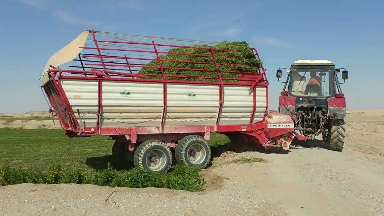 تعالي اوريك ازاي تكسب 40الف جنيه كل شهر من  ارضك وتاكل عيش في ظل الأزمات الحاليه 01104724161