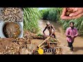 Catching Fish & Crab in the River| Waterfall in Forest | Vayal Nandu | Welcome to my Village!!