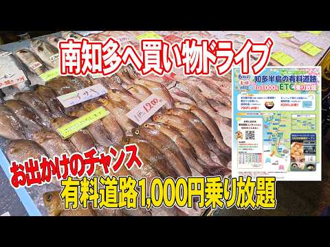 ねこたろう - YouTube
