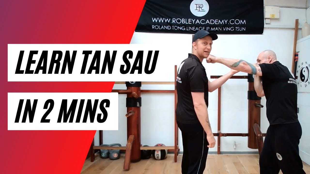 Learn Tan Sau/Palm Up Hand in under 2 minutes!