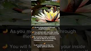 Metta Meditation #meditation #spiritual #chakra #healing