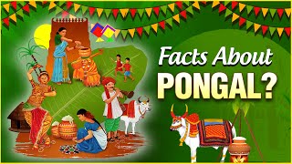 Interesting Facts & Importance About Pongal | The Indian Harvest Festival | Pongal Festival 2022