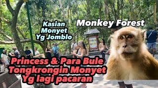 Princess & Bule-Bule Pada Tongkrongin Monyet Lagi Pacaran Di Monkey Forest 😅😂 kasian Monyet Jomblo