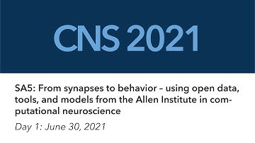 2021 CNS Tutorial SA5: Day 01 | From synapses to behavior