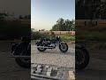 🐎🔫 #trending #sirsa #haryana #shortvideo #shortsfeed #shorts #love #new #shortsvideo #tranding