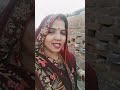 Ham nahi rahab saiya dilli shahriyon me