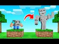 MINECRAFT But We Turned ROCKS INTO PETS!