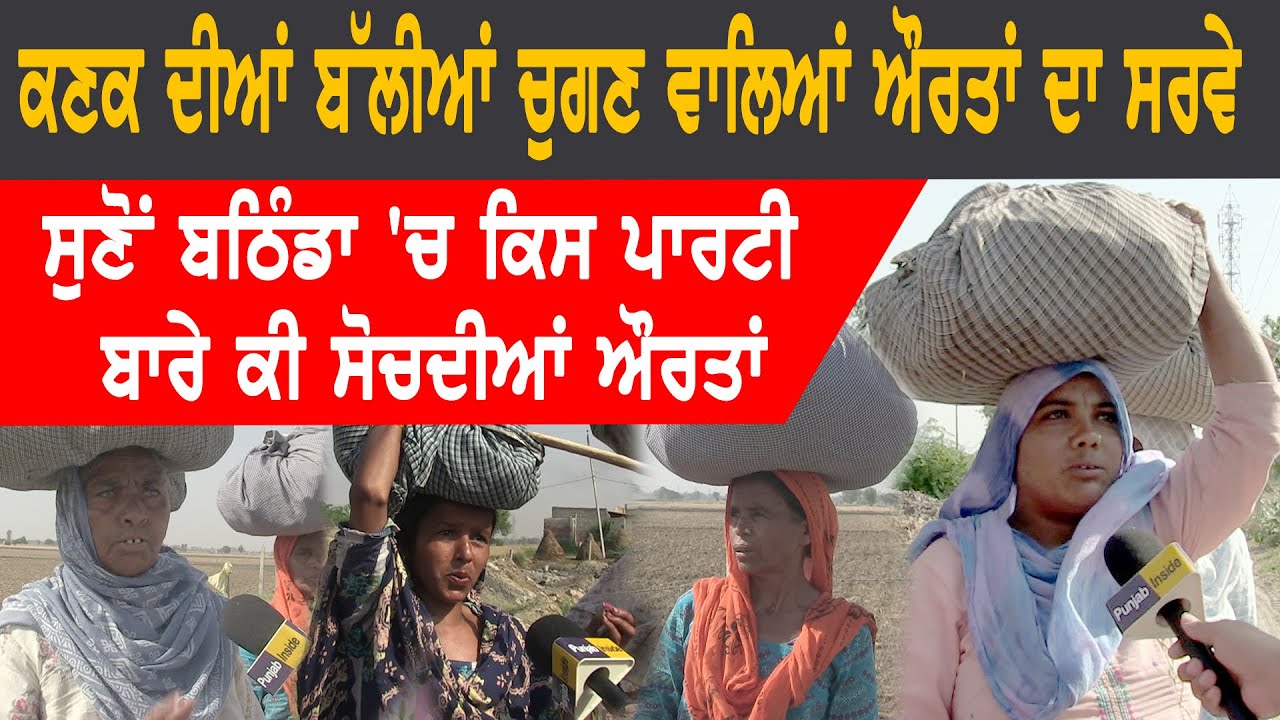 ਕਣਕ ਦੀਆਂ ਬੱਲੀਆਂ ਚੁਗਣ ਵਾਲਿਆਂ ਔਰਤਾਂ ਦੇ ਨਾਲ ਗੱਲਬਾਤ | ਸੁਣੋਂ Bathinda 'ਚ ਕਿਸ ਪਾਰਟੀ ਬਾਰੇ ਕੀ ਸੋਚਦੀਆਂ ਔਰਤਾਂ