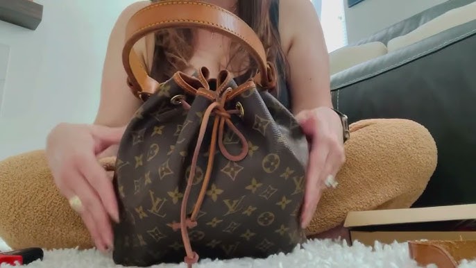 Review & what fits in my Louis Vuitton Petit Noe 