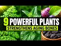 These 9 Plants Strengthens Weak Bones Naturally (doctors rarely mention these)