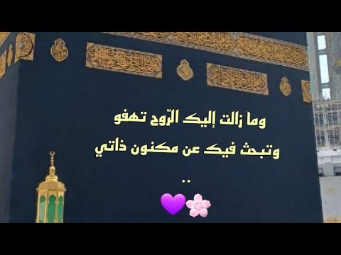والروح تشتاق و بالحنين تهفو إليك