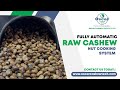 Fully Automatic Raw Cashew Nut Cooking System, Cashew processing Plant , Oscar Cashew Tech