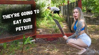 GIANT Snakes Invade our Yard!