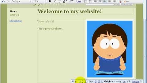 Becoming an eTeacher: Module 1 - part 2: Creating Your Own Google Website