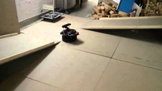 Rubeus first test in Arena