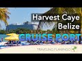 🌴Harvest Caye, Belize 🇧🇿 | Island Tour!