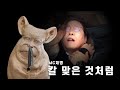칼 맞은 것처럼